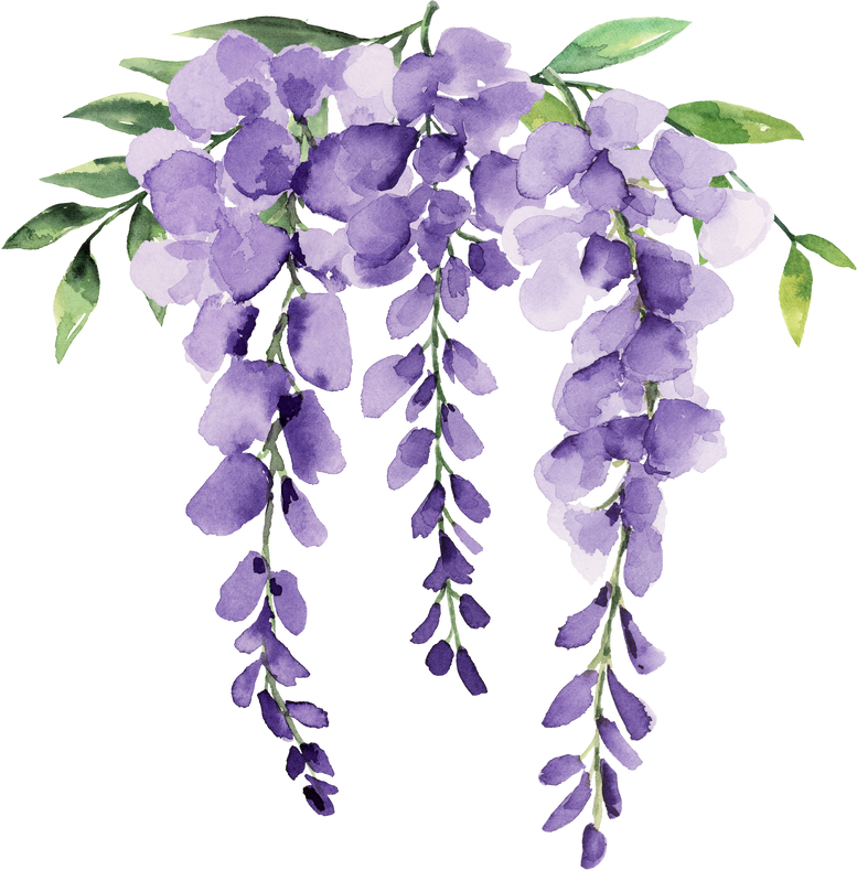 wisteria border purple flower watercolor element 3